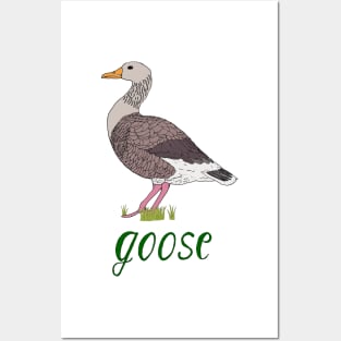 Greylag Goose Posters and Art